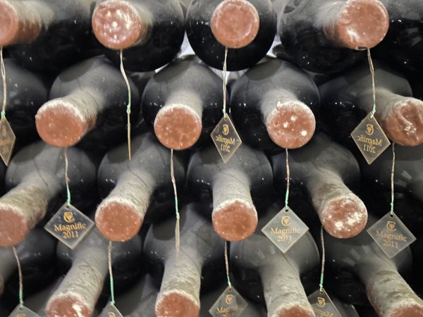 Снимки: Нели Христова